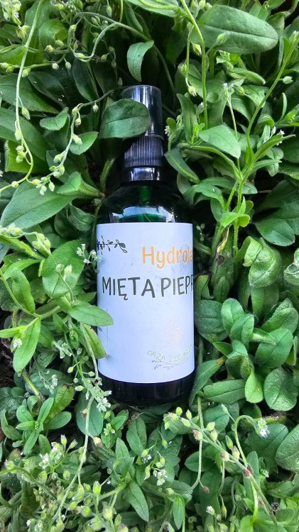 WhatsApp Image 2023-08-17 at 16.49.17.jpeg